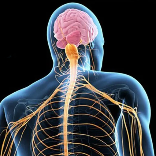 Amyotrophic-lateral-sclerosis-new11