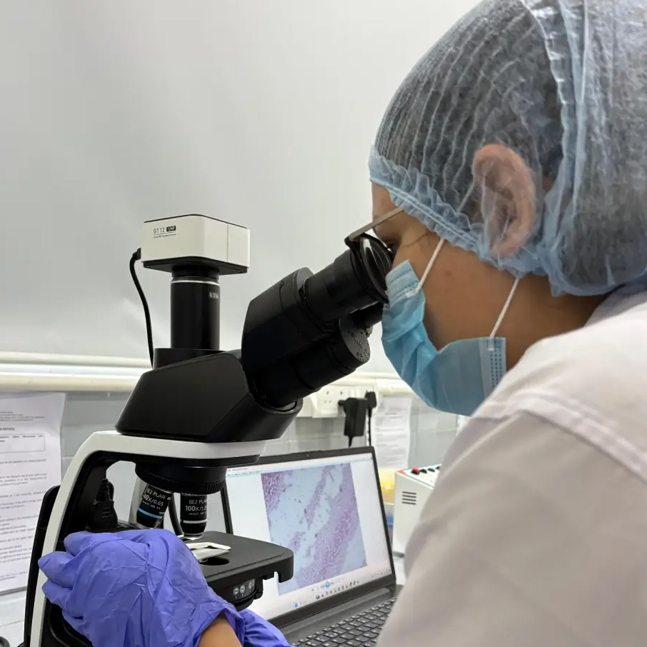 Medicine at Your Doorstep