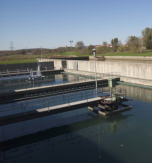 Medicine at Your Doorstep